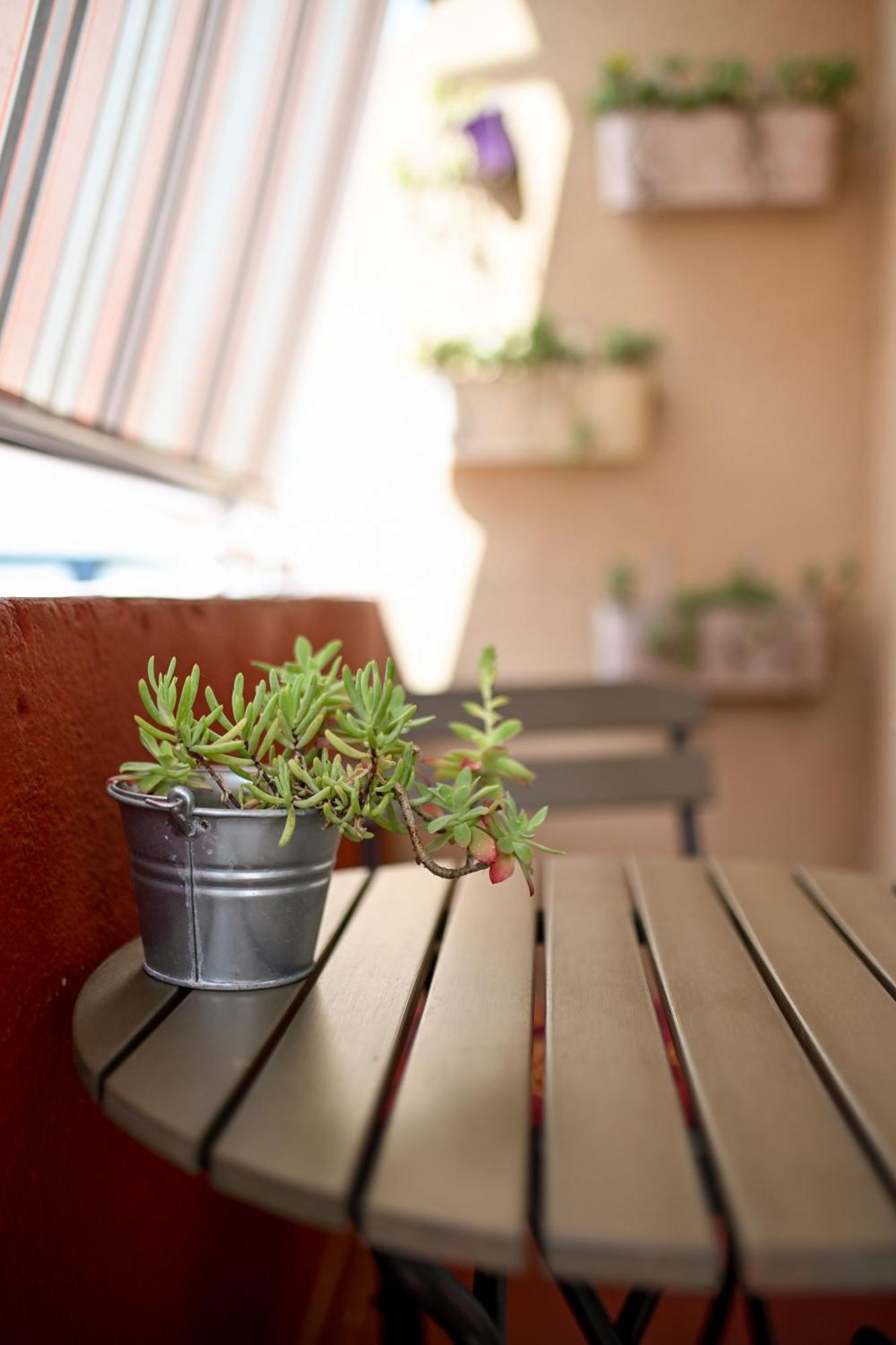 Near Center With Free Parking And Air Condition In Each Apartament